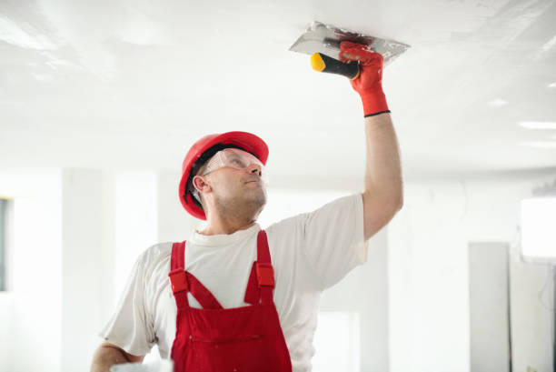 Best Ceiling Drywall Installation  in Deville, AL